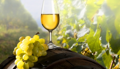 Magyarország borból ismét nettó exportőr