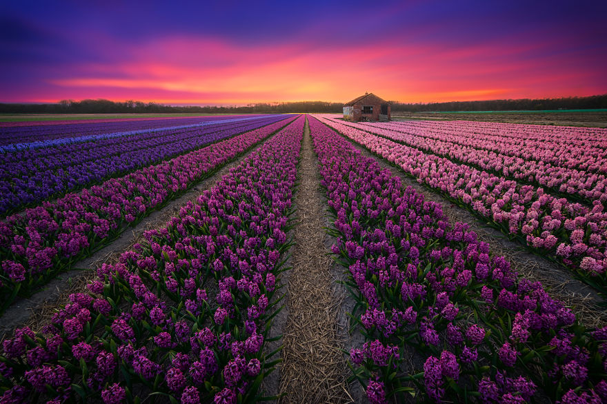 my-home-the-netherlands-in-40-beautiful-photos-26__880