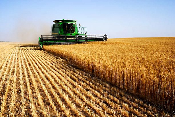 A Növekedési Hitelprogram a mezőgazdaság motorja