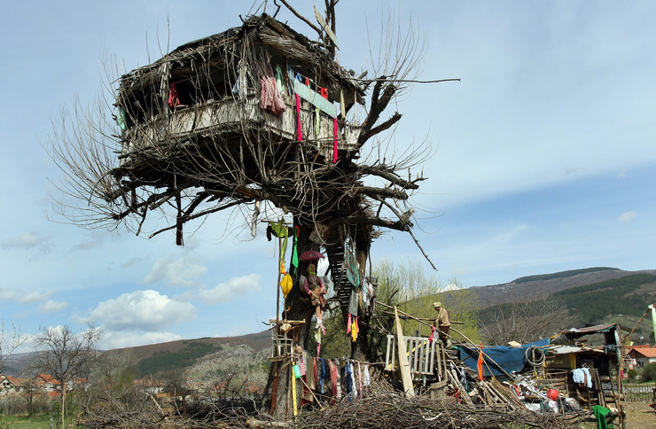 10 éve egy fán él a szerb férfi