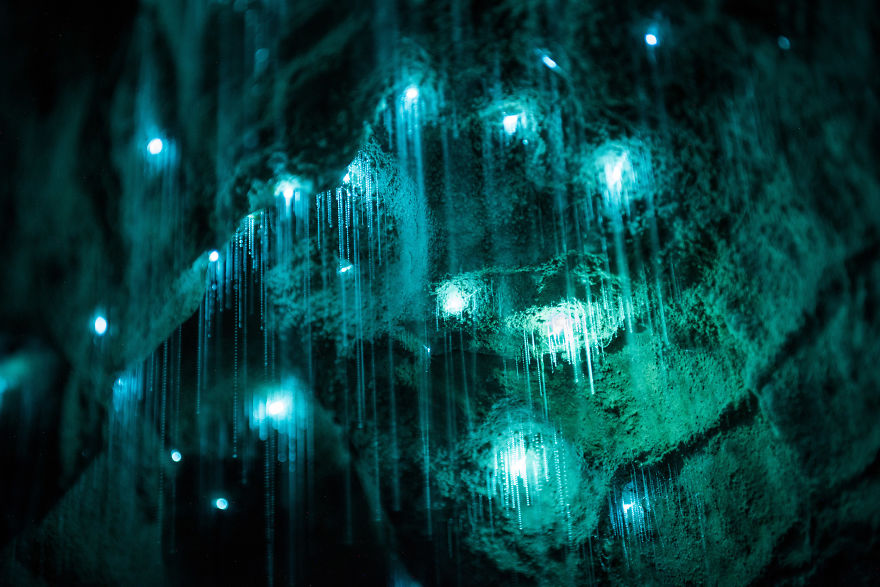Csodálatos világító barlang Új-Zélandon