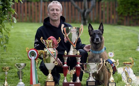 Magyar kutya lett a világbajnok a belga juhászkutyák versenyén