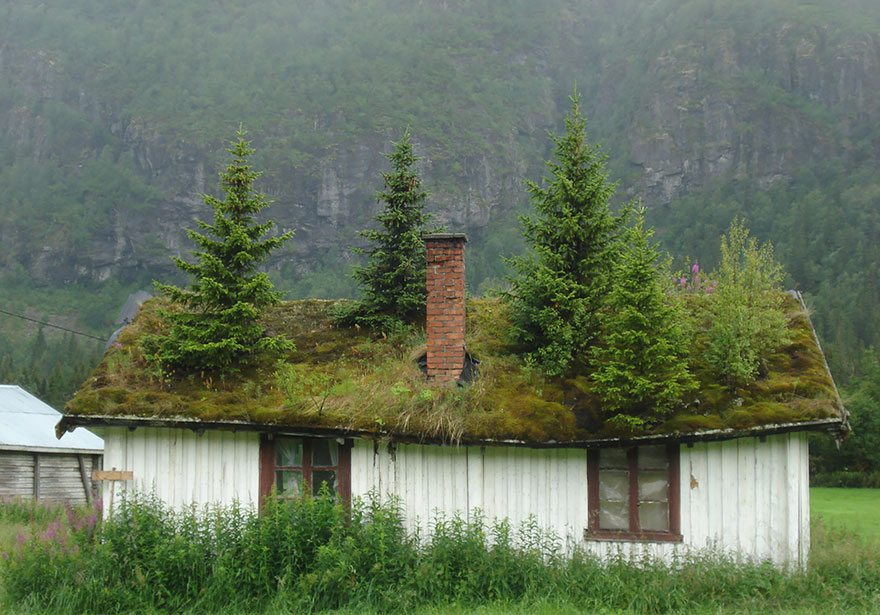 grass-roofs-scandinavia-22-575fe7005d0e1__880