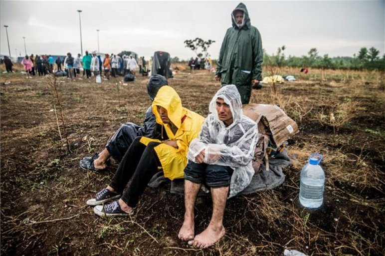 Migránsok negyedik napja éhségsztrájkolnak a magyar-szerb határnál