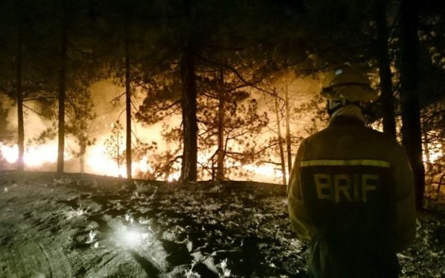 Hat nap után sikerült megfékezni az erdőtüzet lángokat La Palma szigetén