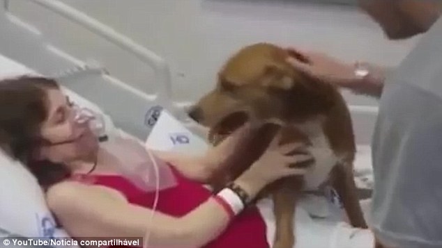 Haldokló brazil nő utolsó kívánsága volt, hogy lássa szeretett kutyáját - videó