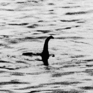 Új fotó a Loch Ness-i szörnyről, aki lehet, hogy egy csapat fóka