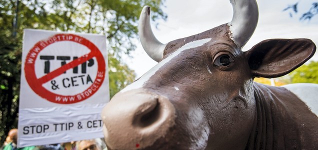 POLITICS STOP CETA PROTEST
