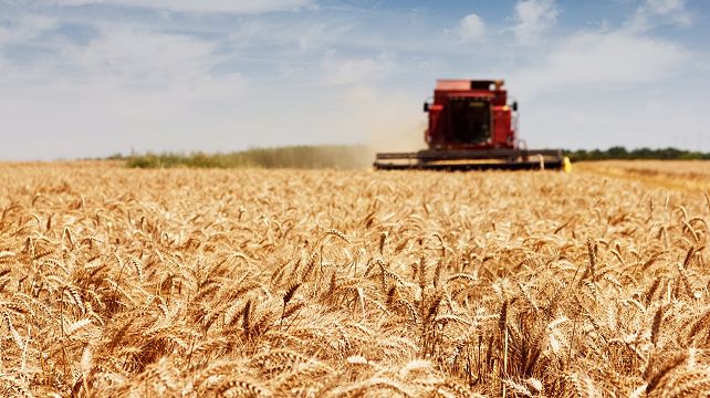 FAO: nem várhatók nagy ármozgások a nemzetközi élelmiszerpiacon