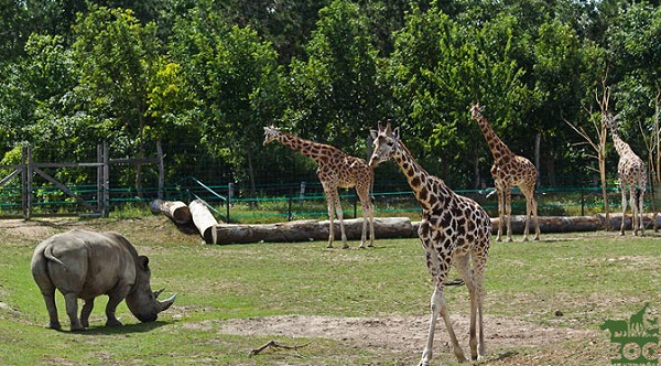 Veszprém Zoo