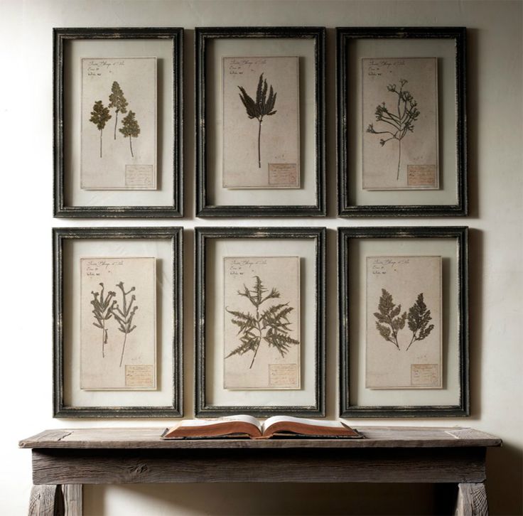 display-herbariums