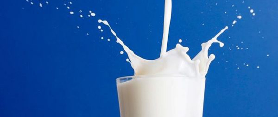 Agrárkamara: mindenki érdekelt a magyar tej hazai értékesítésében