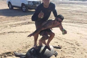 Viccesnek hitte a teknősszörfözést a tahó ausztrál testvérpár